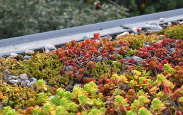 the cost of Guilden Sutton green roof installation