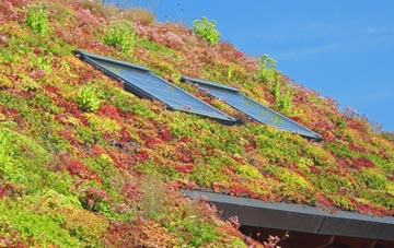Guilden Sutton living roof systems